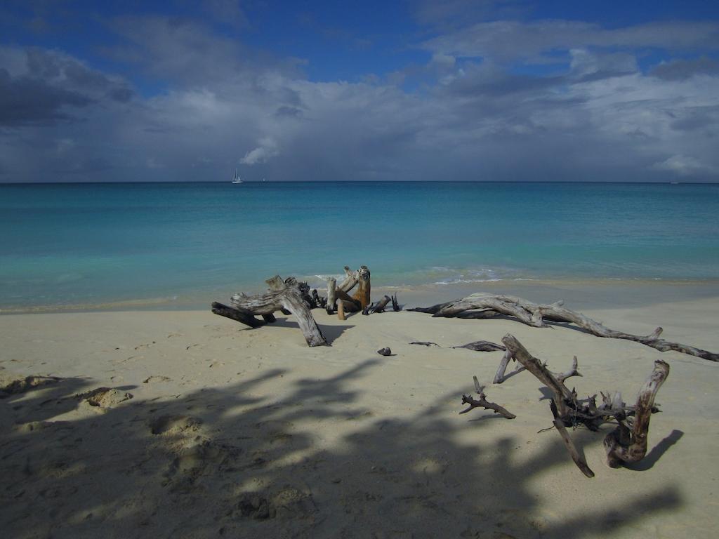 Antigua Chiama Italia Villas Jolly Harbour ห้อง รูปภาพ
